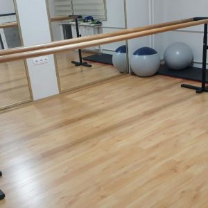 Ayarlı Paralel Bale Barı